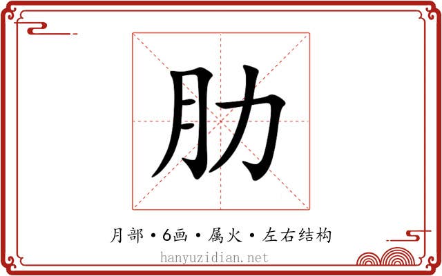 肋