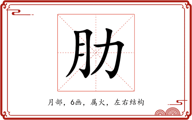 肋