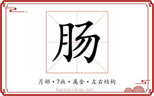 肠 肠