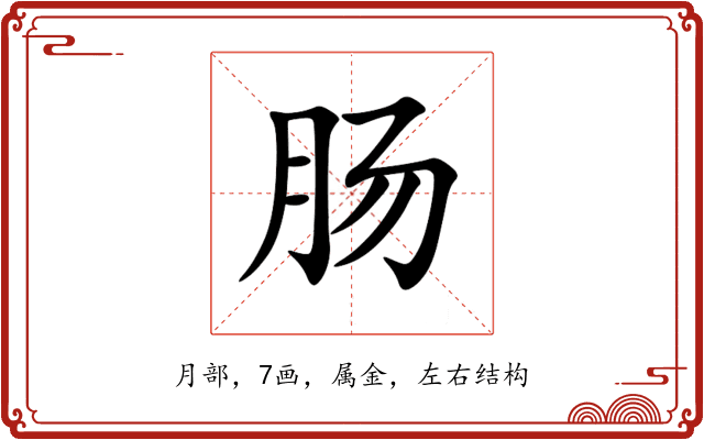 肠 肠