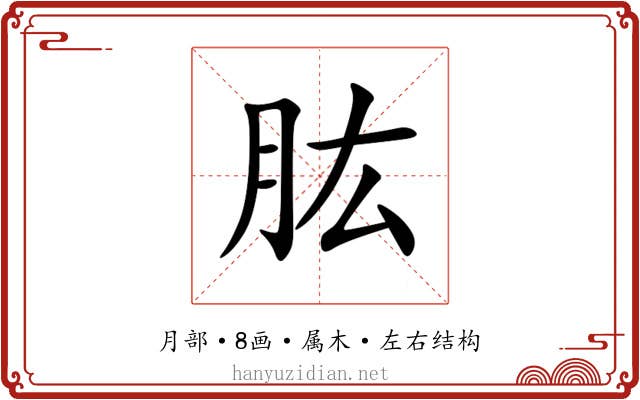 肱 肱