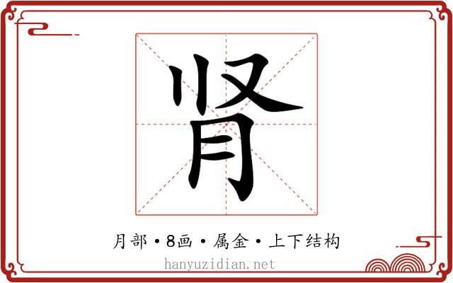 肾 肾