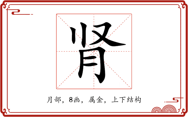 肾 肾