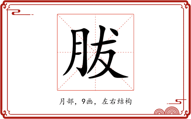 胈 胈