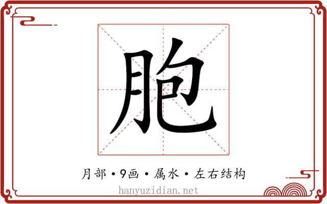 胞 胞