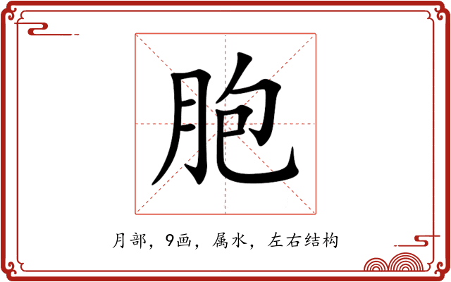 胞 胞