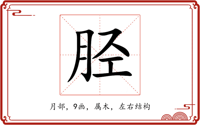 胫 胫