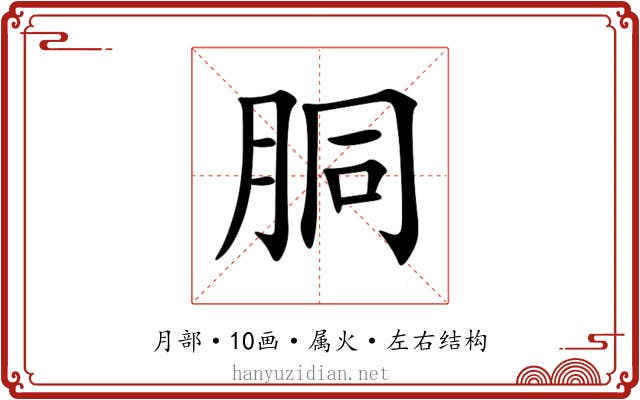 胴