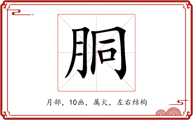 胴 胴