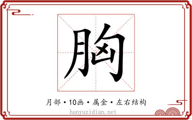 胸 胸