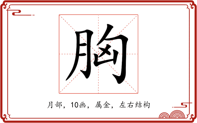 胸 胸