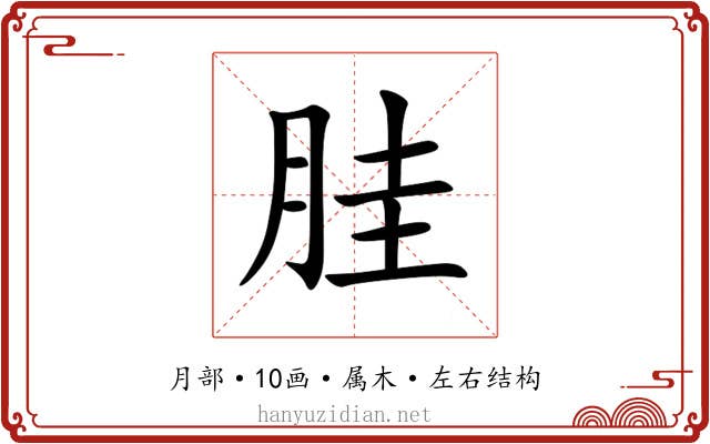 胿 胿