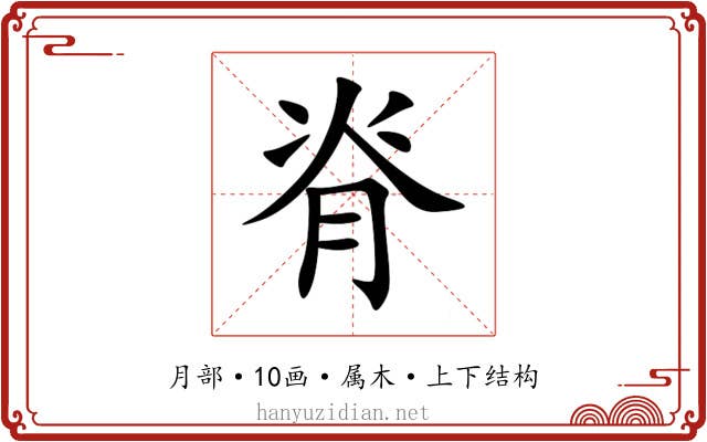 脊 脊