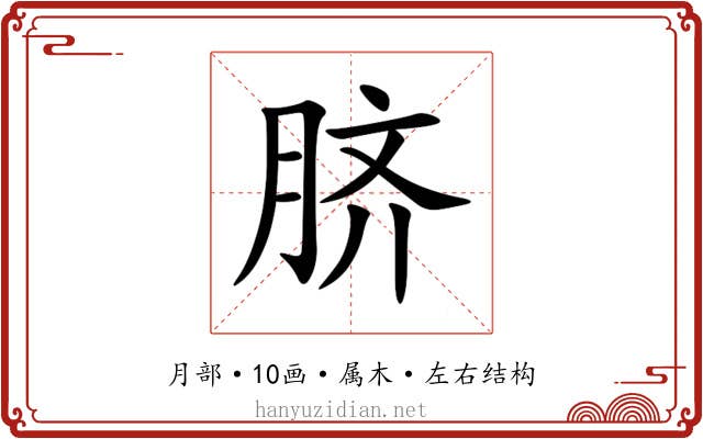 脐