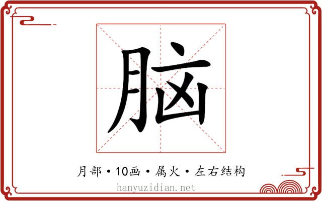 脑