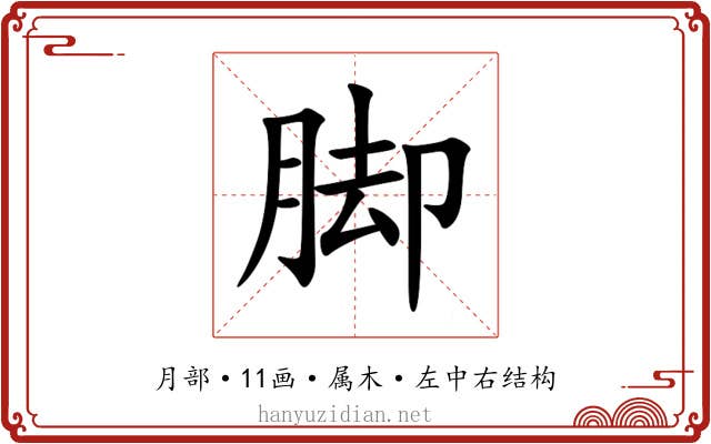 脚 脚