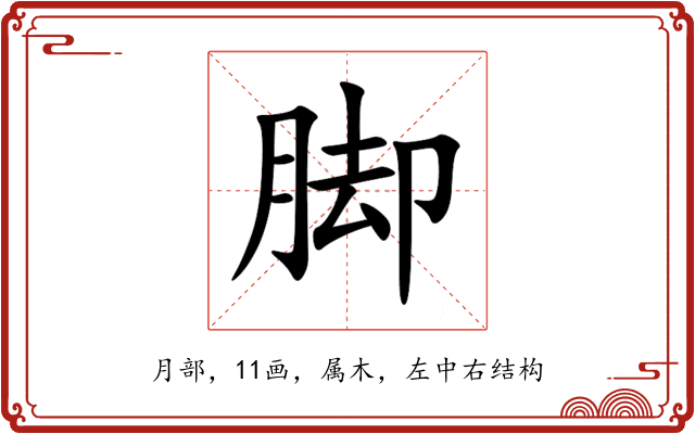 脚 脚