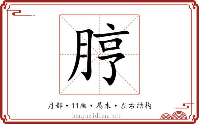 脝 脝