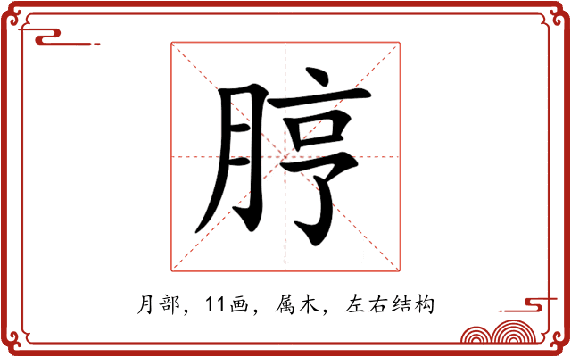 脝 脝