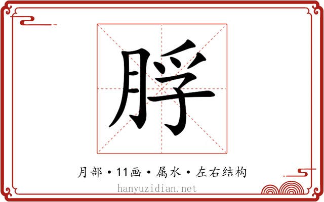 脬 脬