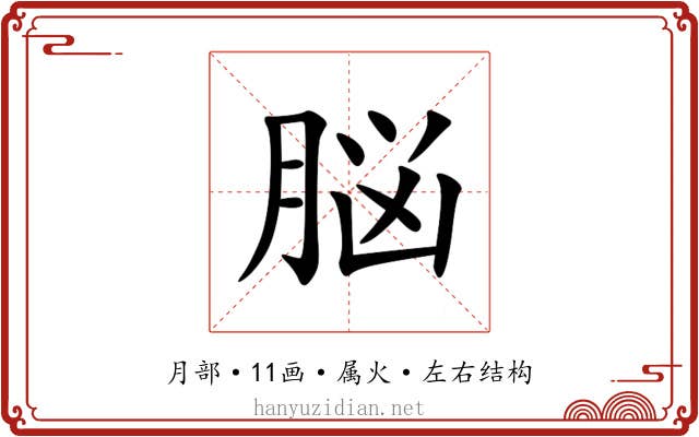 脳 脳