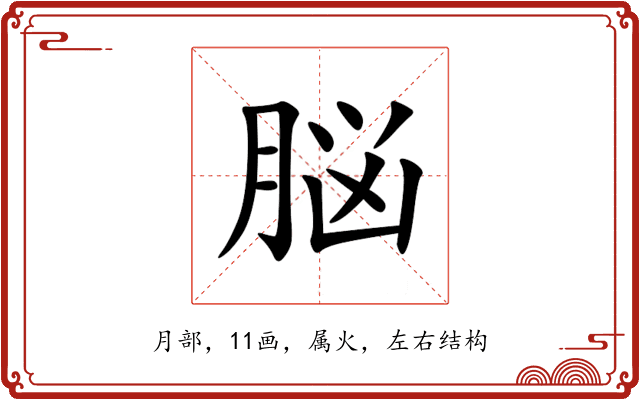 脳 脳
