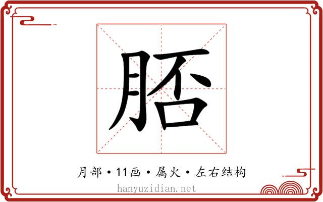 脴 脴