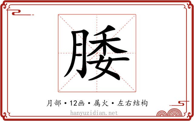 腇 腇