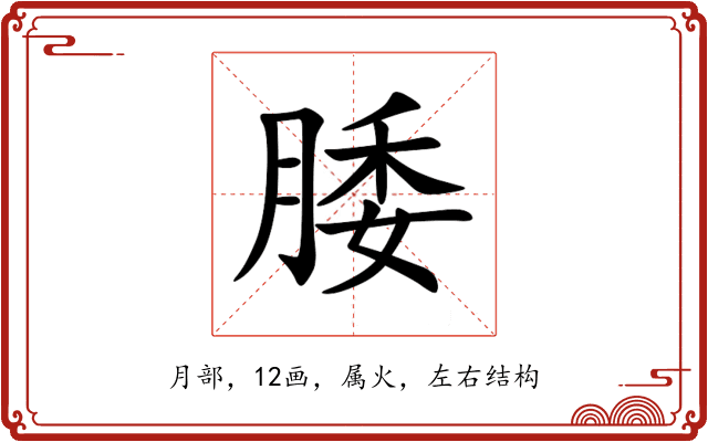 腇 腇