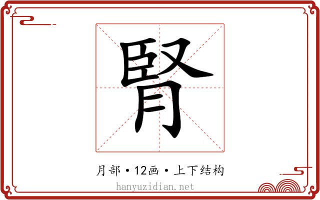 腎 腎