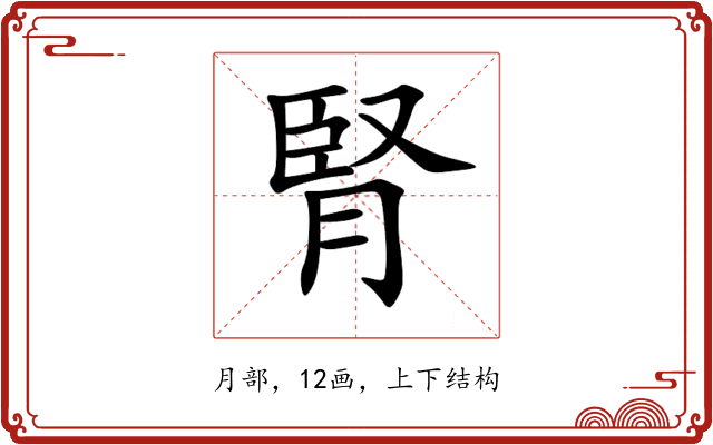 腎 腎