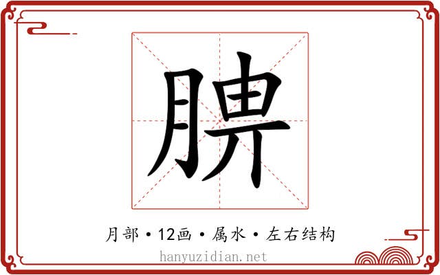 腗 腗