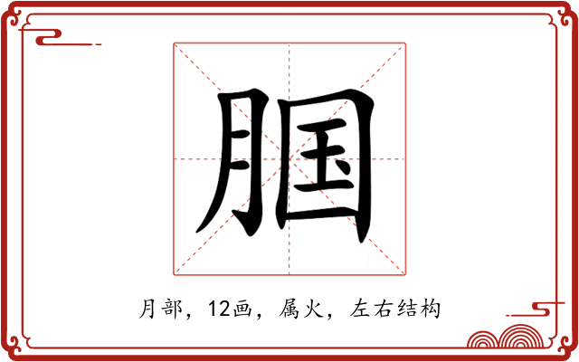 腘 腘