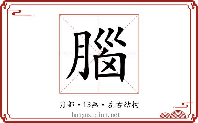 腦