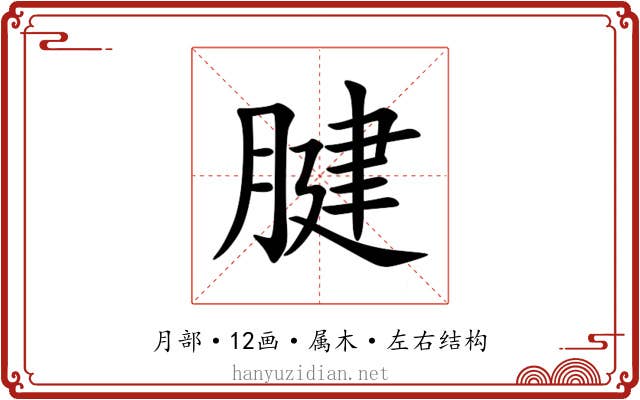 腱 腱