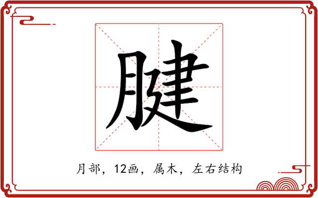 腱 腱