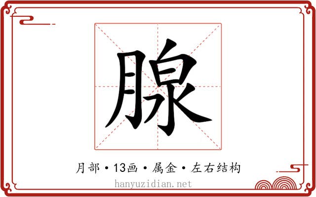 腺 腺