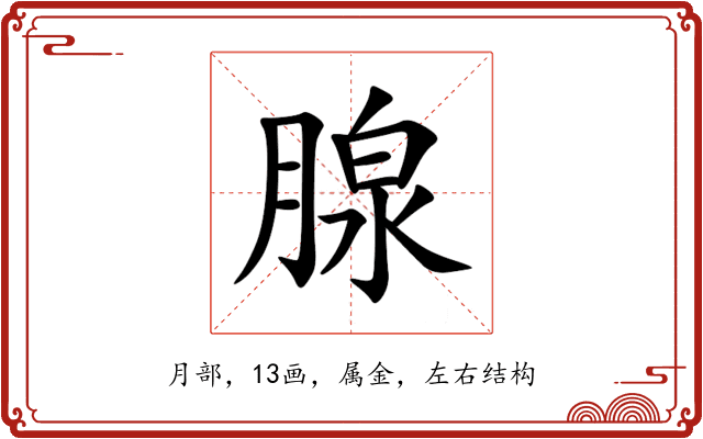 腺 腺
