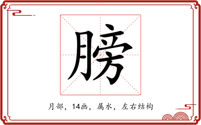 膀
