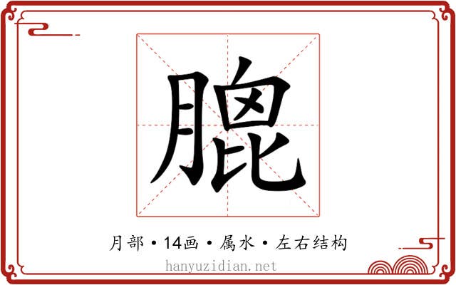 膍 膍