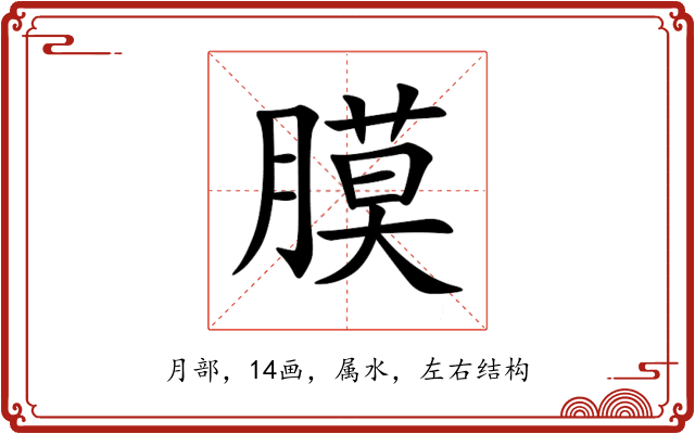膜 膜