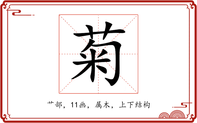 菊 菊