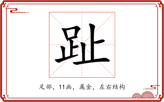 趾