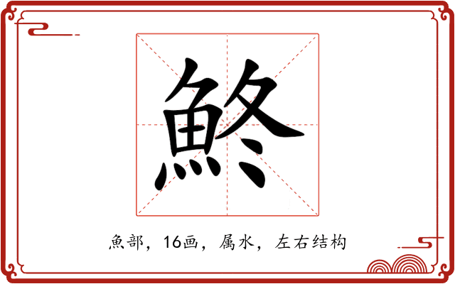 鮗 鮗