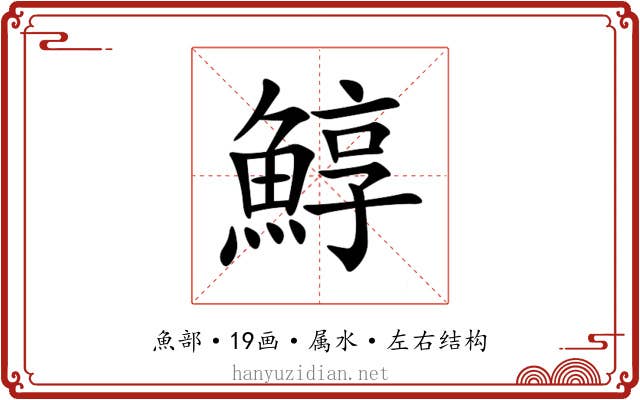 鯙