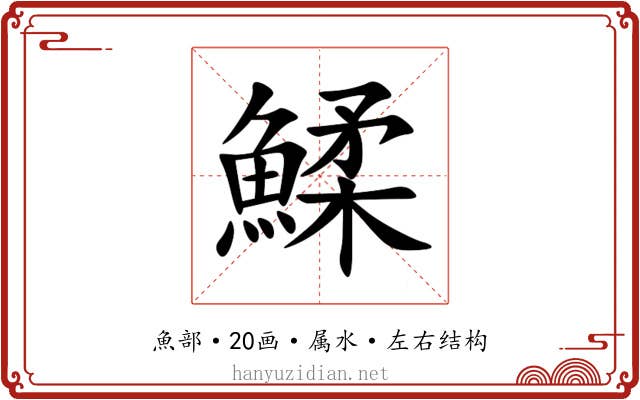 鰇