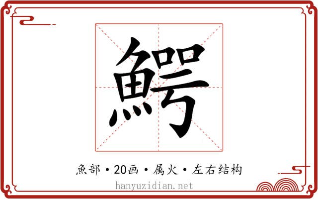 鰐 鰐