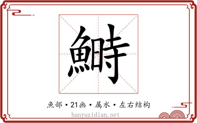 鰣