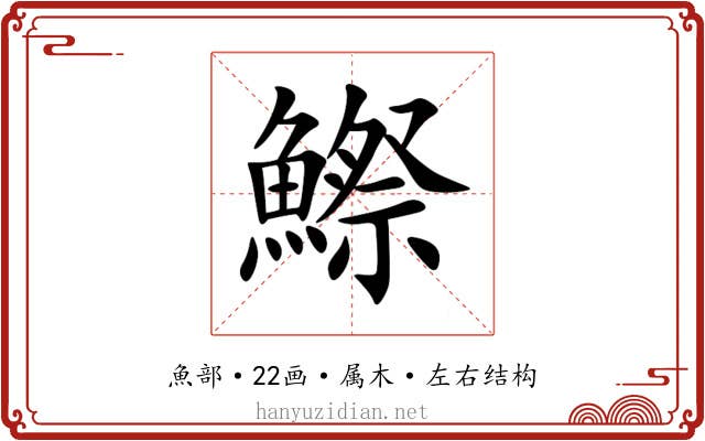 鰶 鰶