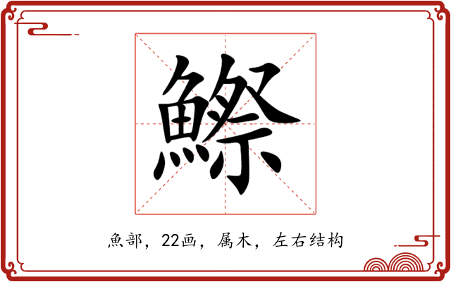鰶 鰶